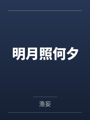 明月照何夕封面