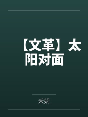【文革】太阳对面封面