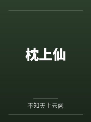 枕上仙封面