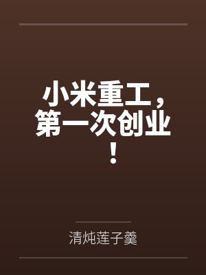 小米重工，第一次创业！笔趣阁无弹窗封面