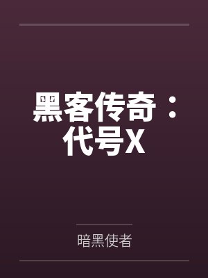 黑客传奇：代号X封面
