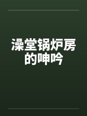 澡堂锅炉房的呻吟封面