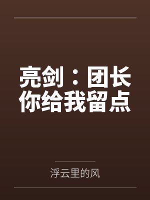 亮剑：团长你给我留点封面