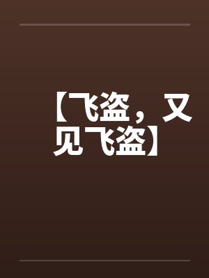 【飞盗，又见飞盗】封面