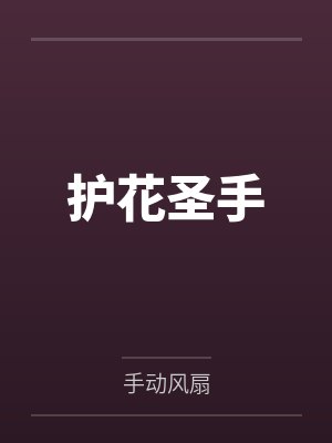 护花圣手封面